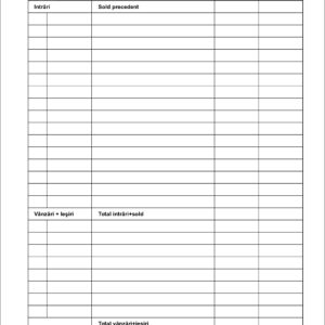 Raport de gestiune zilnic A4 - hartie offset, 100 file